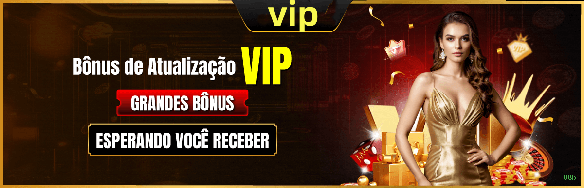 Suporte VIP 88b - atendimento prioritário